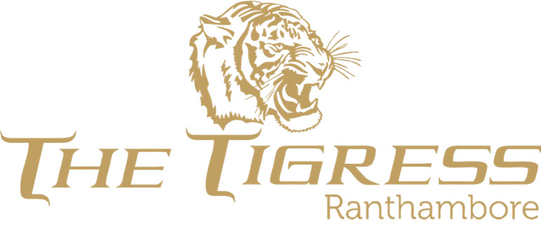 The Tigress Ranthambore
